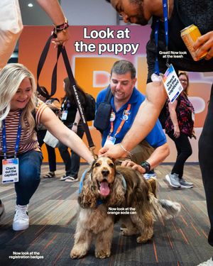 Image post by @workday on Instagram