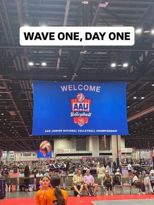 Image post by @PLAvolleyball on Facebook