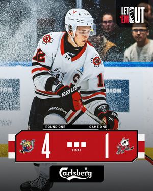 Image post by @ohlicedogs on Instagram