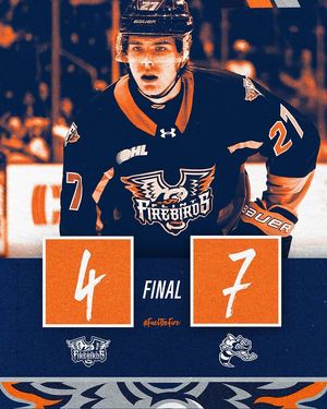 Image post by @flintfirebirds on Instagram
