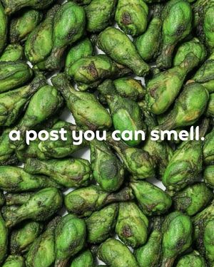 Image post by @duolingoenglishtest on Instagram
