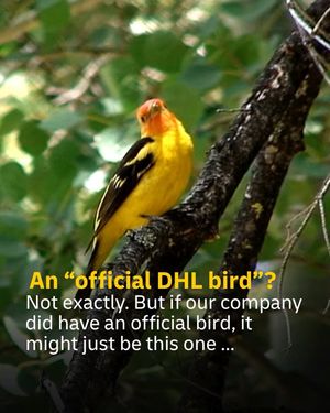 Image post by @dhl_global on Instagram