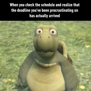 Image post by @9gag on Instagram