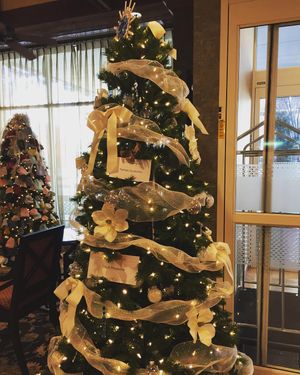 Image post by @hamptongvilledt on Instagram