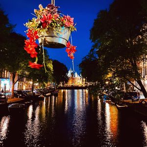 Image post by @edwin_berkemeijer on Instagram