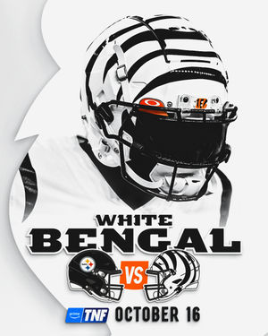 Image post by @bengals on Instagram