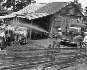 Image post by @txextension on Instagram