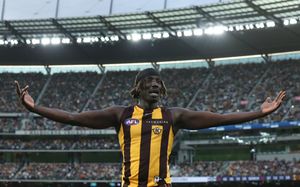 Image post by @AFL on Twitter