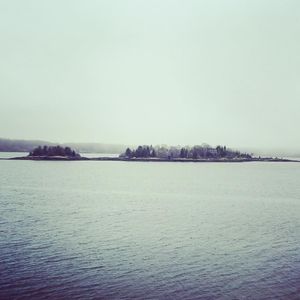 Image post by @themainemag on Instagram