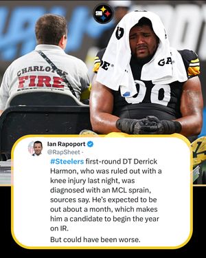 Image post by @steeler.nation.inc on Instagram