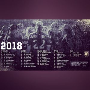 Image post by @armywp_softball on Instagram