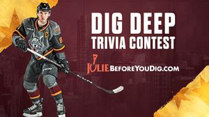 Image post by @Chicago_Wolves on Twitter