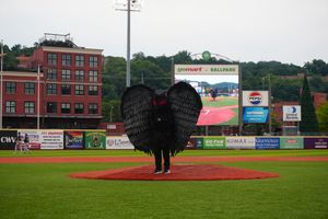 Image post by @dirtybirdscwv on Instagram
