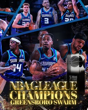 Image post by @greensboroswarm on Instagram