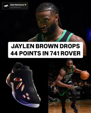 Image post by @soleretriever on Instagram