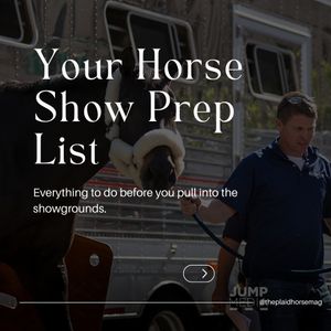 Image post by @theplaidhorsemag on Instagram