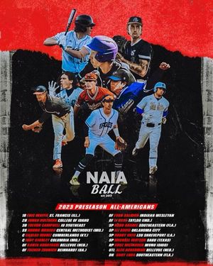 Image post by @NAIABall on Twitter