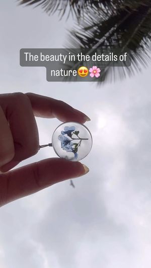 Video post by @leafyaffair on Instagram