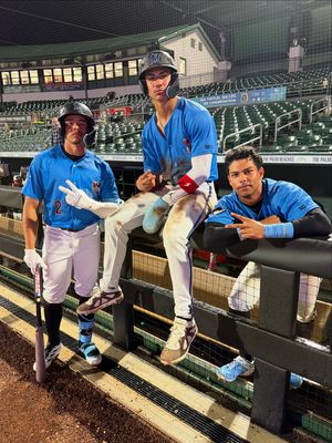 Image post by @gohammerheads on Instagram