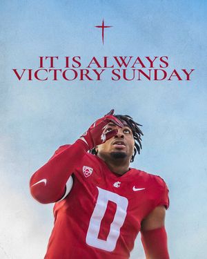 Video post by @mccrosky.creative on TikTok