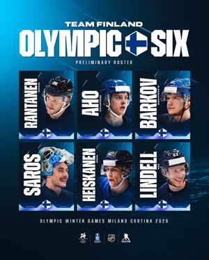 Image post by @leijonatfi on Instagram