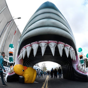 Image post by @sanjosesharks on Instagram
