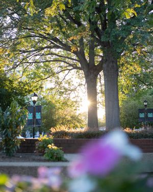 Image post by @marshallu on Instagram