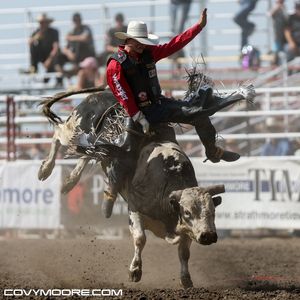 Image post by @covymoore on Instagram