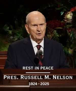 Image post by @fox13now on Instagram