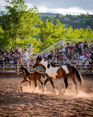 Image post by @aspensnowmass on Instagram
