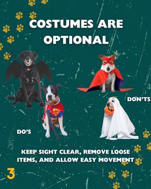 Video post by @DetroitGSD on Facebook