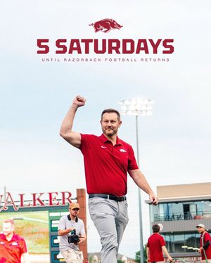 Image post by @razorbackology on Instagram