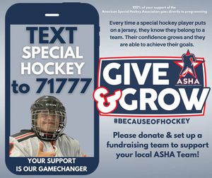 Image post by @specialhockey on Twitter