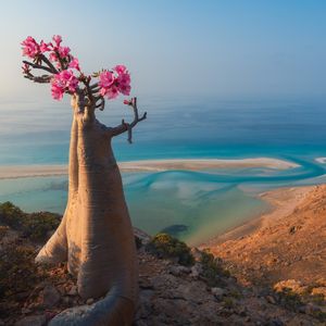 Image post by @bbcearth on Instagram