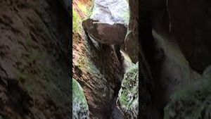 Video post by @allisonhollandmedia on YouTube