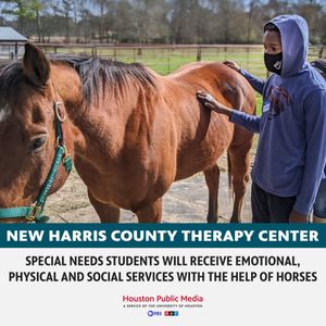 Image post by @houstonpubmedia on Instagram