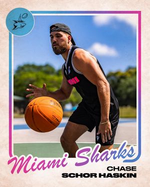Image post by @miasharksrugby on Instagram