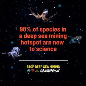 Image post by @greenpeace on Instagram