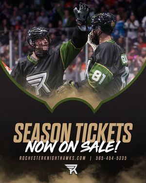 Image post by @rocknighthawks on Instagram