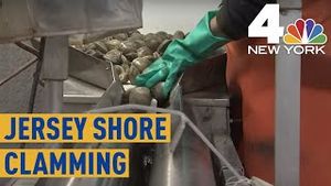 Video post by @nbcnewyork on YouTube