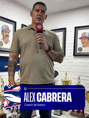 Image post by @tiburonesbbc on Instagram