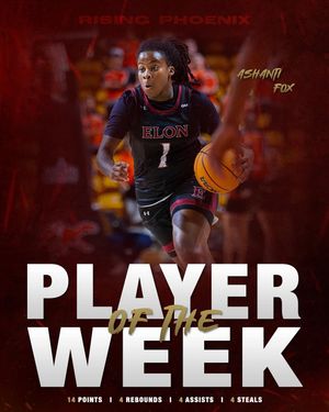 Image post by @elonrisingphoenix on Instagram