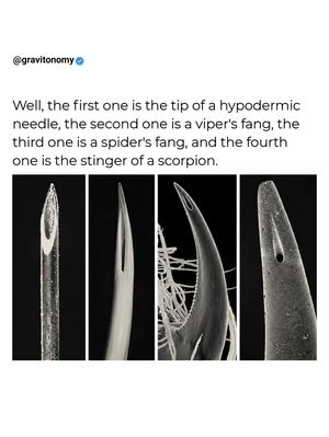 Image post by @gravitonomy on Instagram