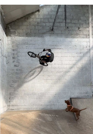 Video post by @redbullbike on TikTok