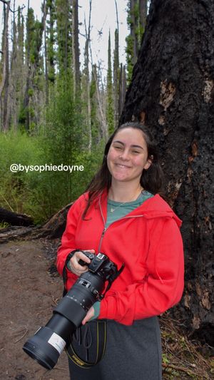 Video post by @bysophiedoyne on TikTok