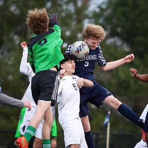 Image post by @plaidsheepcreative on Instagram