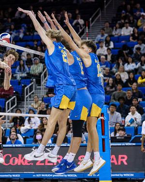 Image post by @uclamvb on Instagram