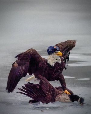 Image post by @mccroskycreative on Instagram