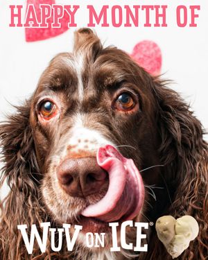 Image post by @dogstersicecream on Instagram