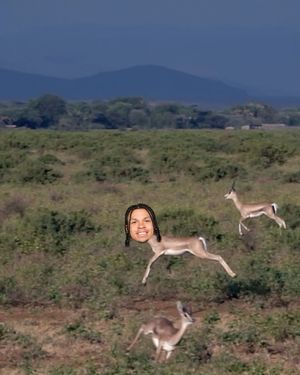 Image post by @packers on Instagram